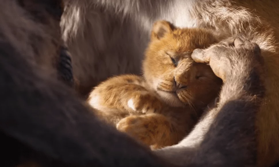lion-king