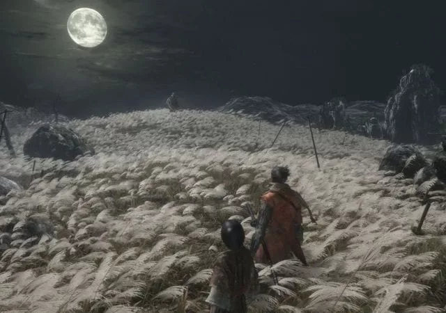 sekiro-shadows-die-twice
