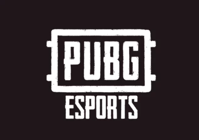 pubg-pgs-2020