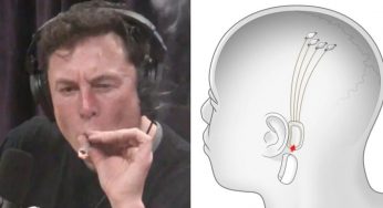 Chip-et e trurit të Elon Musk mund të sjellin një “Ushtri Qeniesh Robotike”
