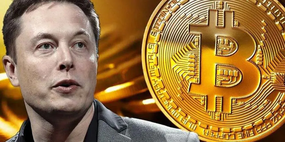 Elon-Musk-Bitcoin elon musk, bitcoin,