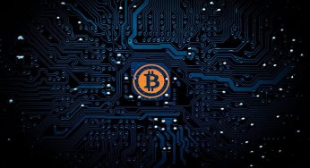 Çfarë ndodhi pas rënies të menjëhershme të cryptocurrency?
