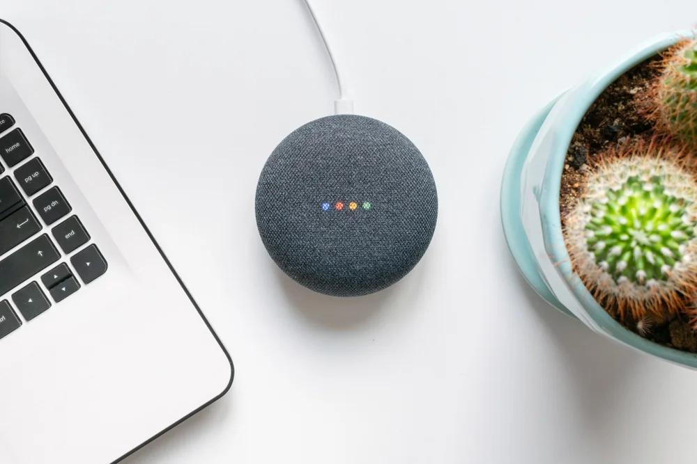 google-assistant