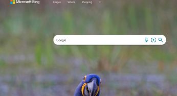 Google tregon se fjala më e kërkuar në Bing është ‘Google’