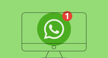 WhatsApp web ju lejon të krijoni stickers