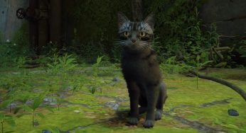 Si të shkarkoni dhe luani Stray multiplayer